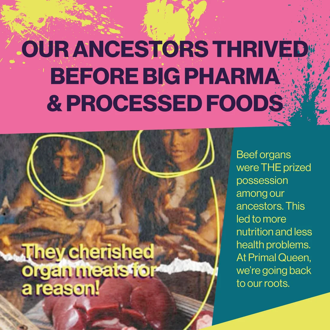 Primal Queen Beef Organ Superfood